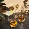Admiral Martini Glasses by Viski