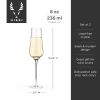Angled Crystal Champagne Flutes by Viski®