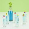 Cactus Stopper and Charm Set by TrueZoo