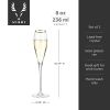 Gold-Rimmed Crystal Champagne Flutes by Viski®