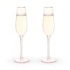 Rose Crystal Champagne Flute by Twine Living® (Set of 2)